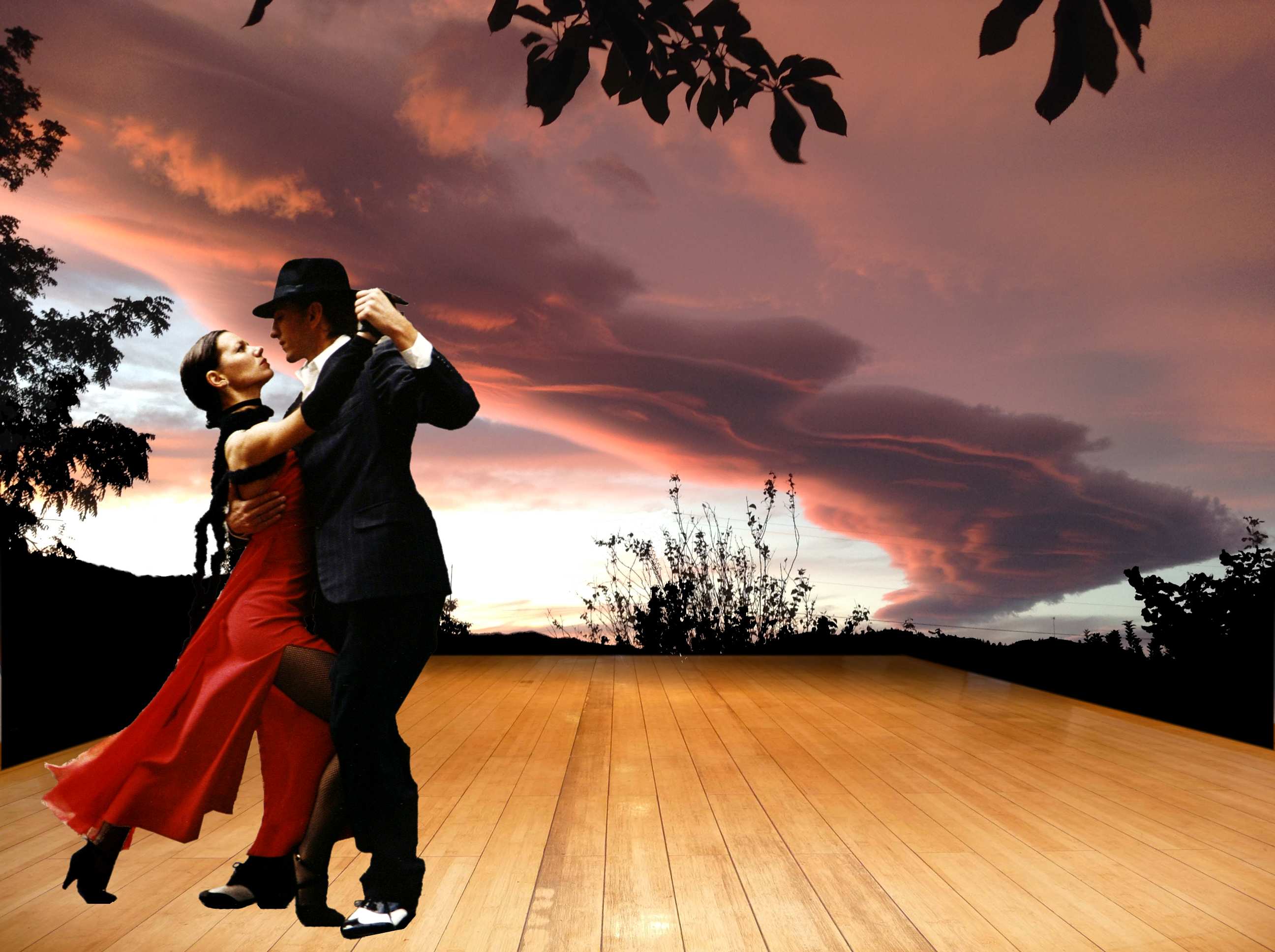 Dance Penticton - Ballroom & Latin Dance Club logo