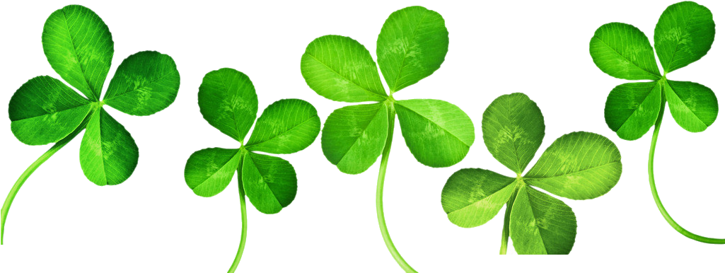 Four Leaf Clover